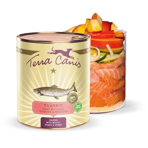 Terra Canis Lachs, Hirse, Pfirsich & Kräuter - Classic Nassfutter, 800g I Premium Hundefutter in 100% Lebensmittelqualität Aller Rohstoffe I Reichhaltig & gesund, allergen- & getreidearm, glutenfrei