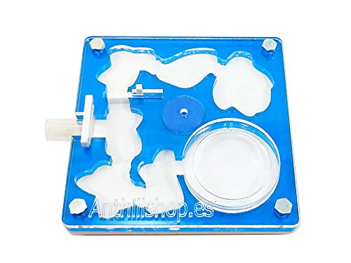 ANTHILLSHOP Ameisenfarm│ 10 x 10 cm Acryl aus Schaum (blau Farbe) - mit Ameisen aus 20-30 Cover