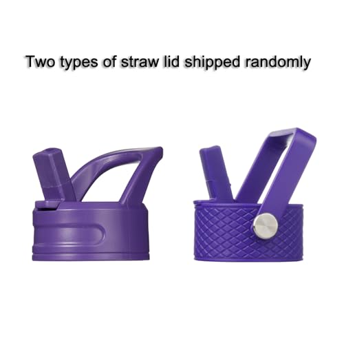 Image of BJPKPK Insulated Water Bottle, 15oz Stainless Steel with Straw Lid