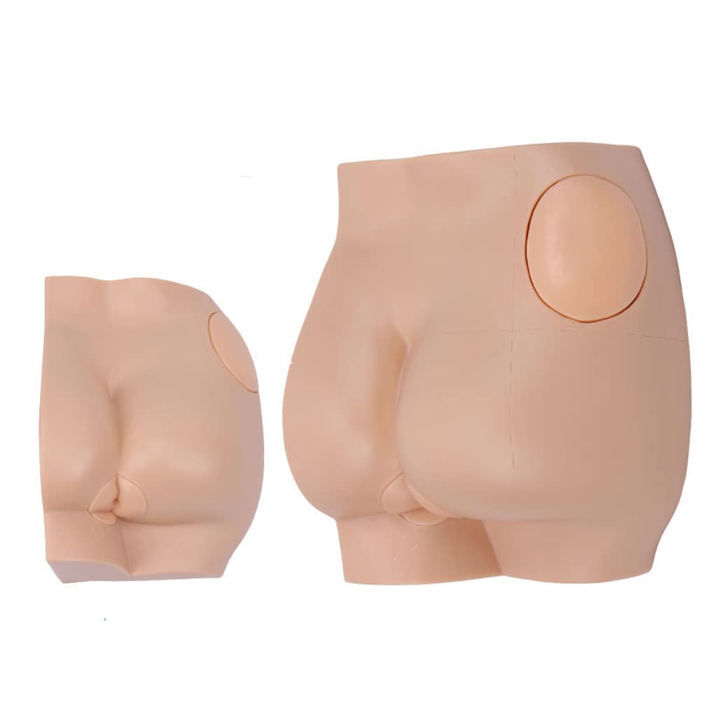 YNIYUJKL Buttock Injection Practice Model Manikin Teaching Model Buttock Hip Model Vivid Hip Intramuscular Anatomical Model For M