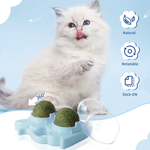 Catnip Balls For Cats Wall Catnip Ball Toy, 2 Pack Edible Cat Nip Ball Double Ball For Cats Chew Toy, Rotatable Interactive Cat Kitten Toys Of Indoor Cats For Teeth Cleaning & Soothe The Mood (Blue) #TOP4