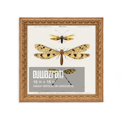 euwazram 15x15 Ornate Vintage Gold Picture Frame - Single Frame 15 x 15 Classic Poster Frame for Art Prints & Gallery Walls