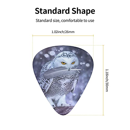 Ensemble de 12 médiators de guitare Arctic Owl pour guitare acoustique, guitare électrique, contrebasse, ukulélé - Les Beatles, Paul McCartney, John Lennon, RIngo Starr, George Harrison Ensemble de 12 médiators de guitare Arctic Owl pour guitare acoustique, guitare électrique, contrebasse, ukulélé – Image 5
