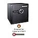 SentrySafe Fireproof and Waterproof Black Steel Home Safe with Dial Combination Lock for Cash, or Documents, 1.23 Cubic Feet, 17.8 x 16.3 x 19.3 x Inches, SFW123CU