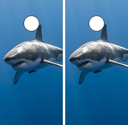 C258 Shark Cornhole WRAP Wraps Laminated Board Boards Decal Set Decals Vinyl Sticker Stickers Bean Bag Game Vinyl Graphic Tint Image