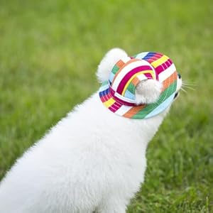 Dog Cotton Hat, Adjustable Drawstring, Mesh Design, Dog Hats for Small and Medium Breeds (S)