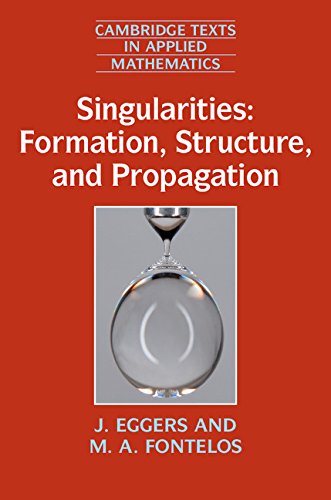 Singularities: Formation, Structure, and Propagation (Cambridge Texts in Applied Mathematics Book 53)