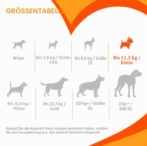 Nylabone Kauspielzeug für Welpen Zahnen Knochen aus Rindfleisch Geschmack Hund kauen, 1 Stück (1er Pack) – Ansicht 5