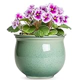 Teagas Ceramic Self Watering Pots, 6 Inch African...