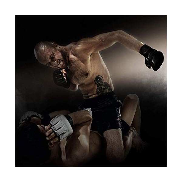 RDX-MMA-Gloves-Noir-Maya-Hide-Leather-Ventilated-Open-D-Cut-Palm-Padded-Grappling-Sparring-Mitts-Cage-Fighting-Kickboxing-Mixed-Martial-Arts-Muay-Thai-Training-Punching-Bag-Pads-Workout-Black RDX MMA Gloves Noir, Maya Hide Leather, Ventilated Open D-Cut Palm, Padded Grappling Sparring Mitts, Cage Fighting Kickboxing Mixed Martial Arts Muay Thai Training, Punching Bag Pads Workout, Black