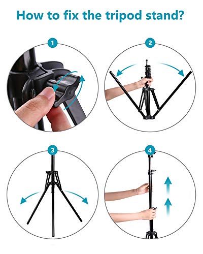 Entil 12\'\' Selfie Ring Light Mini LED Camera Lighting with Tripod and Cell Phone Stand Holder for YouTube Video Shooting/Photography Livestream Beauty Makeup, Compatible with iOS Android - Thumbnail 3