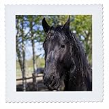 Square dimensions (in inches): 6 L x 6 W, image dimensions (in inches): 4 L x 4 W 100% poloyester; image is soft to touch. Made in USA Edges have pinking shear cut Image will not fade with washing. Image not a transfer, part of material