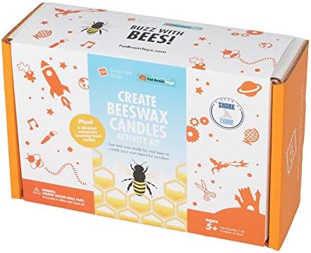 Surprise Ride Build Beeswax Candles Activity Kit STEM Learning
