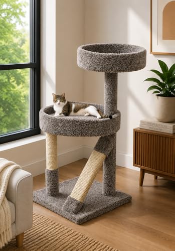 Árbol para Gatos New Cat Condos 20"x20"x41" miniatura 1