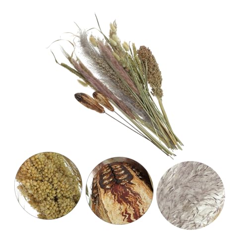 Ramo de Pasto Pampas Seco Natural para Decoración Boho miniatura 2