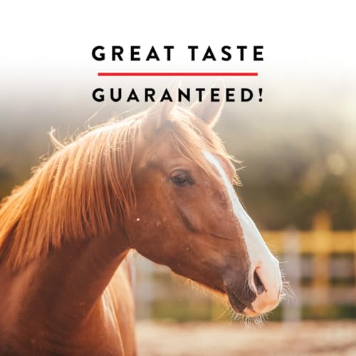 Image of Manna Pro Apple Wafers - Treats for Horses - Packed with Vitamins & Minerals - Apple Flavored Horse Treats - 20 Pounds