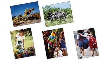 Language Beginner Flash Cards (Set of 68)