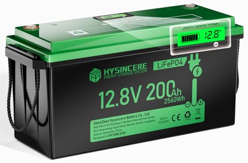 12V 200Ah LiFePO4 Lithium Battery with 2560Wh Energy, Built-in 200A