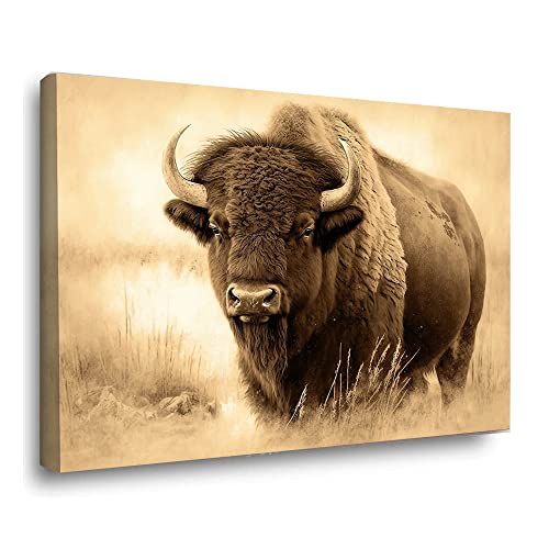 Qqlady Bison Wall Art, Buffalo Artwork cover