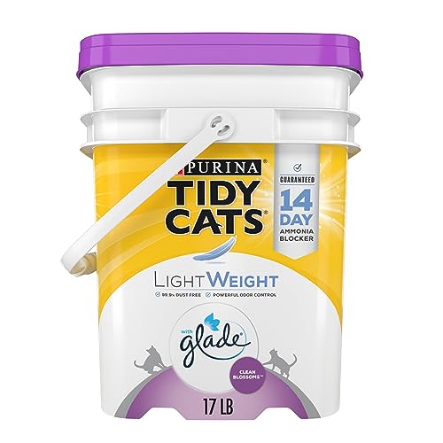 10 Best Tidy Cat Lightweight Cat Litters of 2021 A Comprehensive