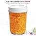 Paksh Novelty Mason Jars 8 oz - 6-Pack Regular Mouth Glass Jars with Lid & Seal Bands - Airtight Container for Pickling, Canning, Candles, Home Decor, Overnight Oats, Fruit Preserves, Jam or Jelly