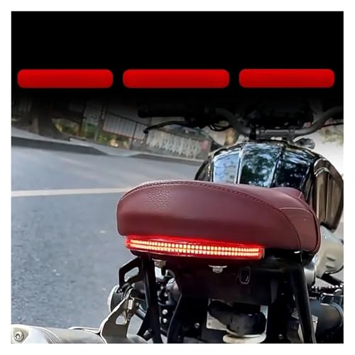 Feu arrière et support de clignotant pour BMW R Nine T - 5
