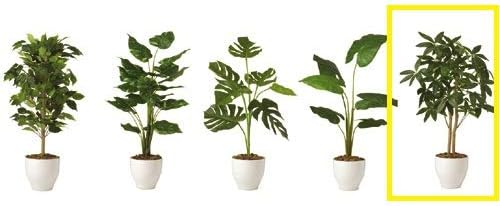 Amazon ベルメゾン フェイクグリーン 消臭 人工観葉植物 パキラ 鉢ホワイト 人工観葉植物 オンライン通販