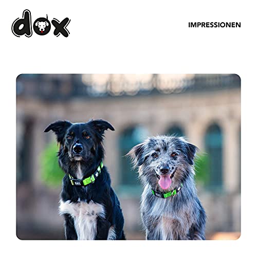DDOXX Airmesh Hundehalsband - Stabiles und Verstellbares Welpenhalsband für alle Größen - S (Grün)