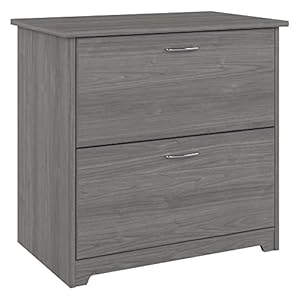 Bush WC31380-03 Cabot 2-Drawer Lateral File Cabinet, Letter/Legal, Modern Gray 31-Inch