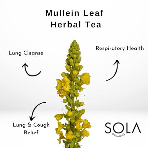 Generic Mullein Leaf Tea Bags - Lung Cleanse And Respiratory Support Sinus Tea, Caffeine Free, Herbal Teas For Cough thumb #5