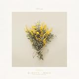 思い出の花束、二度目の恋。 歌詞