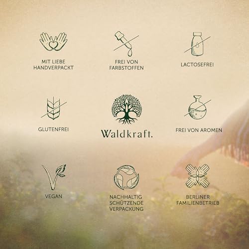 Waldkraft Borax + MSM Kapseln | 99,9% ig reines Natriumtetraborat und OptiMSM® | Lebensmittelqualität | Nachhaltig verpackt in Braunglas | Exklusiv bei Waldkraft | 120 pflanzliche Kapseln