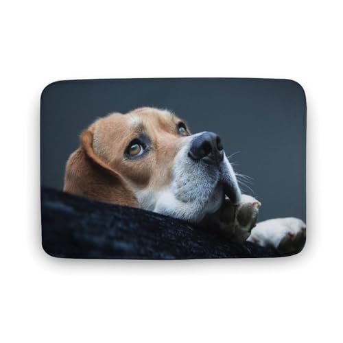  TGh   oX}bg \tg􂦂 z  փ}bg  O   傫 ~ Aj LN^[ @}bg   ʏ