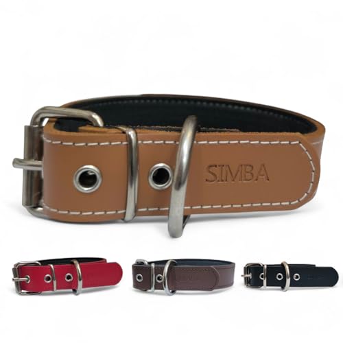 Collar para Perro de Cuero con Acolchado - Personalizable con Nombre Grabado - Hecho a Mano, Resistente y Elegante - Llavero Personalizado de Regalo (Camell, S: Rango de Cuello 28–38 cm)