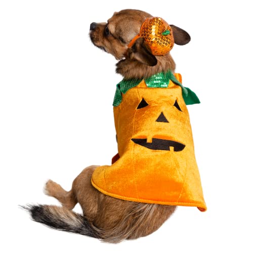 Pet Krewe X-Large Dog Pumpkin Outfit - Pet Pumpkin Costume - Fits Small, Medium, Large And Extra Large Dogs, Cats - Perfect For Halloween, Christmas Holiday, Parties, Photoshoots, Gifts For Dog Lovers #TOP6