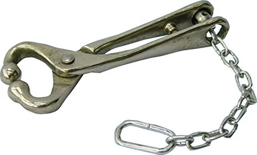 NEOGEN IDEAL 043-7001 11601 011601 Bull Lead with Chain