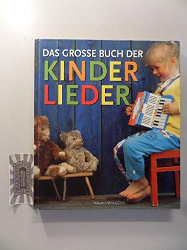 Preisvergleich Produktbild Das grosse Buch der Kinderlieder