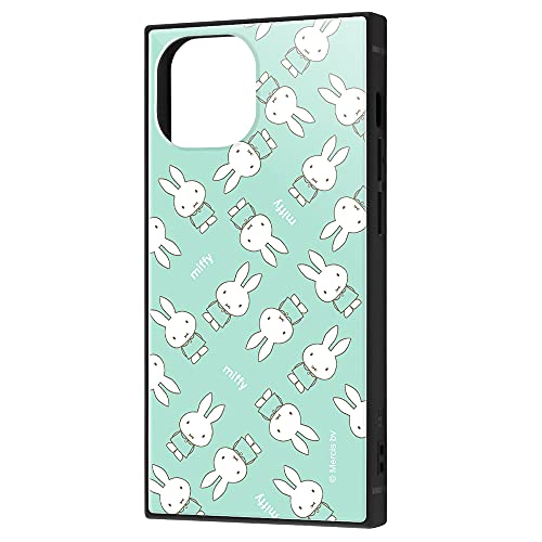 iPhone 13 mini /w~btB[x/ϏՌnCubhP[X KAKU/O[