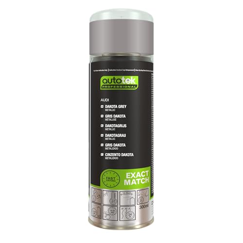 AutoTek Professional Exact Match Car Spray Paint, Audi Dakota Grey Metallic Aerosol Spray, 300 ml