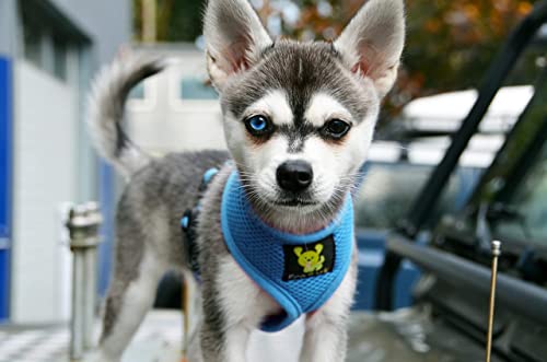 Ecobark Dog Harness - Eco-Friendly Max Comfort Harnesses - Luxurious Soft Mesh Halter - Over The Head Harness Vest- No Pull And No Choke For Small, Toy Breed, And Teacup Dogs (Xs, Baby Blue) #TOP7