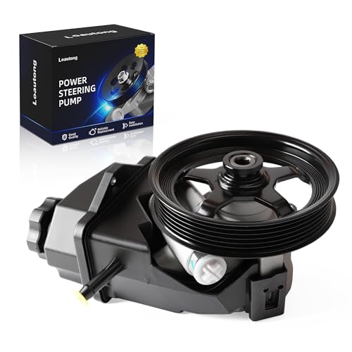 Loautong Power Steering Pump with Pulley 2006-2011 for Chevy Impala 2006-2007 for Chevy Monte Carlo V6 3.5L/3.9L Replace 20-69989 2069989 63139N 88964571 15267585