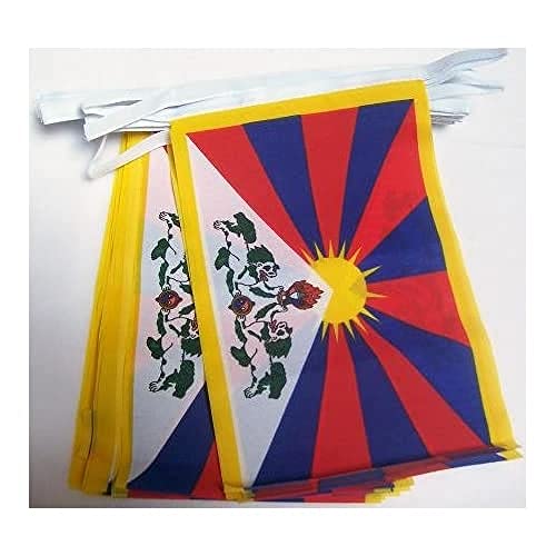 Image of AZ FLAG Tibet 6 meters BUNTING Flag 20 flags 9'' x 6'' - Tibetan-Buddhist STRING flags 15 x 21 cm