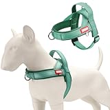 Sage Green Soft Dog Harness Medium Sized Dogs No-Pull Escape-Proof Dog Harness with Front Clip – Emotional Support Quick Fit Padded Mesh Vest with Handle, M