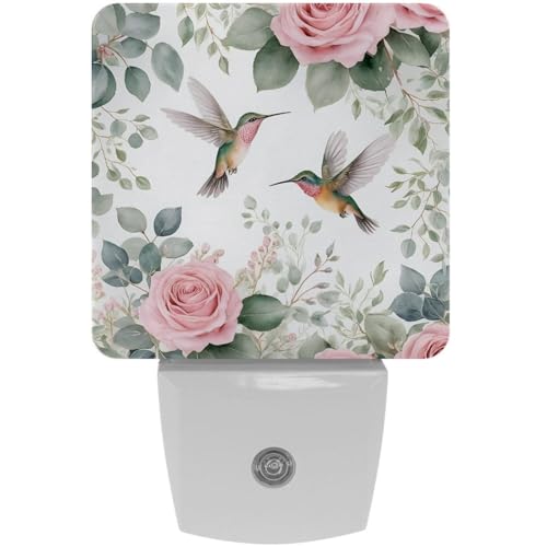 Image of NEWzone Hummingbird Rose Night Light [2 Pack], Plug in Wall Led Night Lights Decor for Boys Girls Room, Dusk to Dawn Sensor Wall Lamp for Stairway /Bedroom /Kitchen /Nursery Room