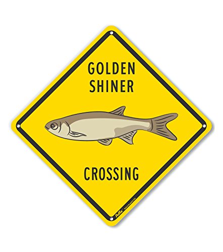 Panneau aluminium visible Golden Shiner Crossing jaune contre le manque de visibilité