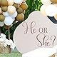 Er oder Sie Geschlecht Offenbaren Dekoration, Gender Reveal-Aufkleber Junge Oder Mädchen-Schild Gender Reveal-Hintergrund Aufkleber für Ballonbogen Babyparty Gender Reveal Party Dekorationen