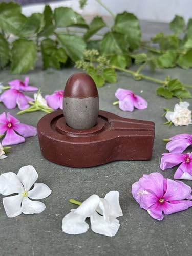 Image of Shivam VASTU AKAL 1.5 inch Original Narmadeshwar Narmada Shivling with 3 inch Narmada Stone Yoni Base Jaladhari (Mahamratunjay Shivling, Brown Flate Jaladhari)