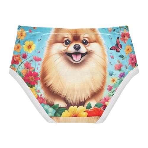 Girls Underwear Toddler 2t Cotton Girl Panties Cute Cartoon Undies Kids Briefs Cute Pomeranian Dog Colorful Flowers2
