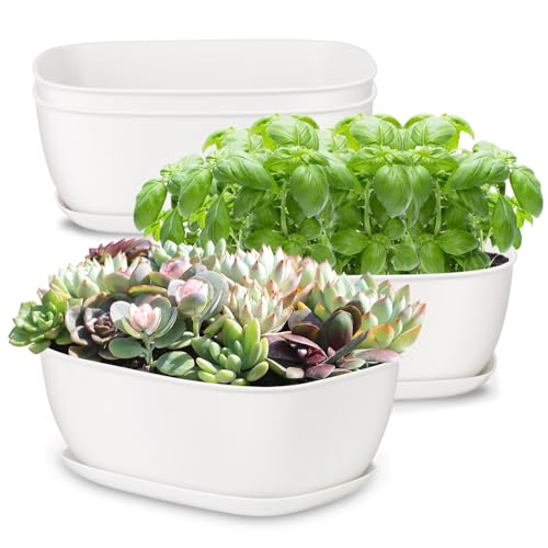 Oliz Set of 4 White Oval Shallow Herb Garden Planters