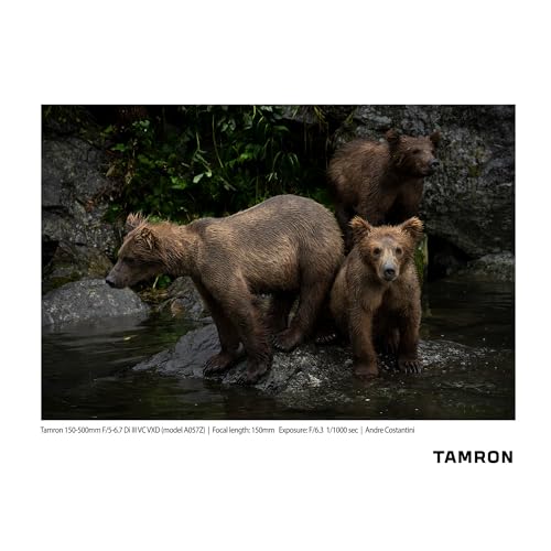 Tamron 150-500mm F/5-6.7 Di III VC VXD for Nikon Z Mount Mirrorless Cameras - Thumbnail 4